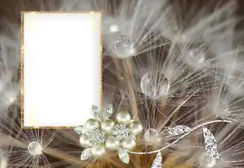 Photo effect from category Different № 169101