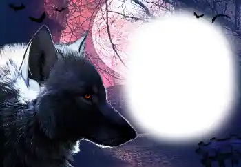 Photo effect from category Different № 16918