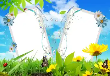 Photo effect from category Different № 17121