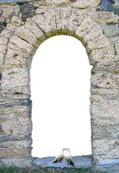 Photo effect from category Different № 171681