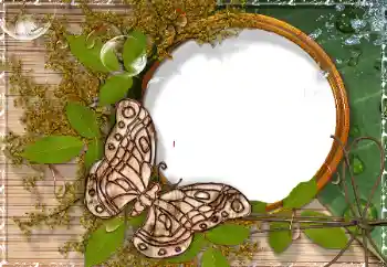 Photo effect from category Different № 17189