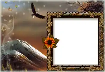 Photo effect from category Different № 172844