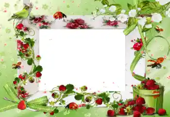 Photo effect from category Different № 172917