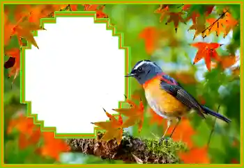 Photo effect from category Different № 173036