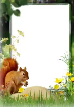 Photo effect from category Different № 174270