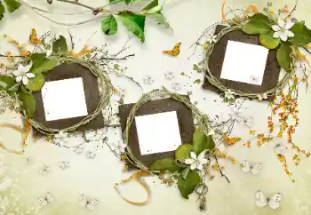 Photo effect from category Different № 175577