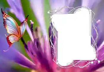 Photo effect from category Different № 176776