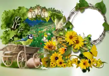 Photo effect from category Different № 180773