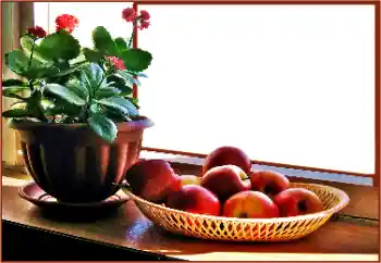 Photo effect from category Different № 180838