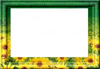 Photo effect from category Different № 1816 Photo effect from category Different № 1816