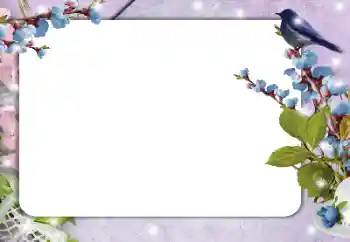 Photo effect from category Different № 182214