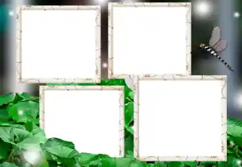 Photo effect from category Different № 182236