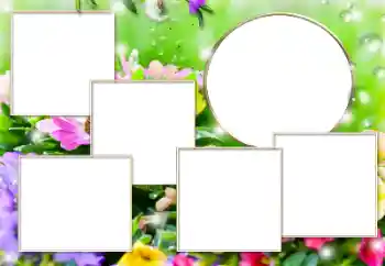 Photo effect from category Different № 182304