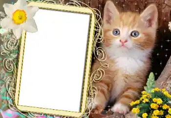 Photo effect from category Different № 183482 Photo effect from category Different № 183482