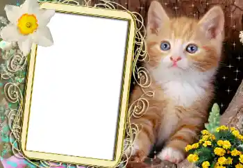 Photo effect from category Different № 1842 Photo effect from category Different № 1842