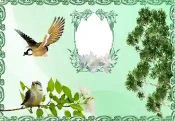 Photo effect from category Different № 185981 Photo effect from category Different № 185981