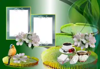 Photo effect from category Different № 185988 Photo effect from category Different № 185988