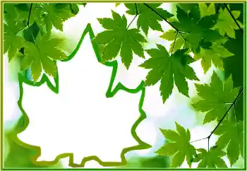 Photo effect from category Different № 186022 Photo effect from category Different № 186022