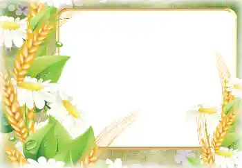 Photo effect from category Different № 190498