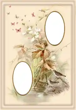 Photo effect from category Different № 190550