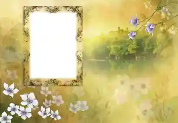 Photo effect from category Different № 190618