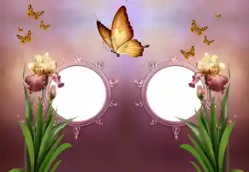 Photo effect from category Different № 191737