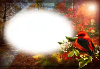 Photo effect from category Different № 191759