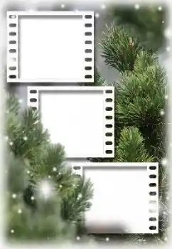 Photo effect from category Different № 194160 Photo effect from category Different № 194160