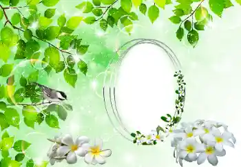 Photo effect from category Different № 196398