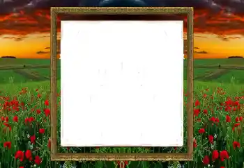 Photo effect from category Different № 196520