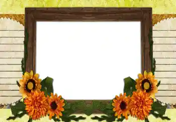 Photo effect from category Different № 196538