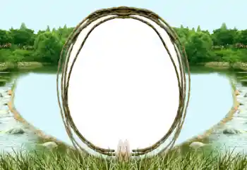 Photo effect from category Different № 196571