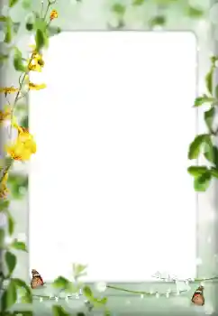 Photo effect from category Different № 198822