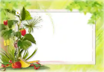 Photo effect from category Different № 198828