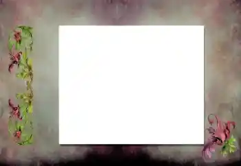 Photo effect from category Different № 198919 Photo effect from category Different № 198919