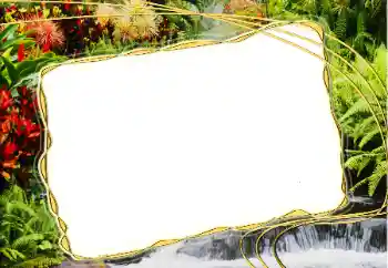 Photo effect from category Different № 20271