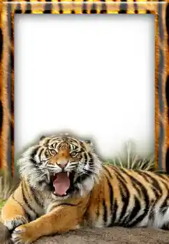 Photo effect from category Different № 20297