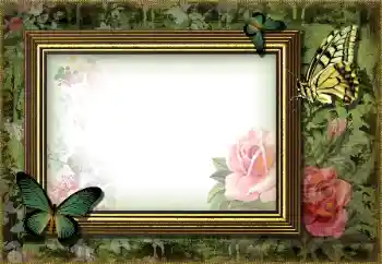 Photo effect from category Different № 203270 Photo effect from category Different № 203270