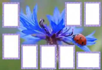 Photo effect from category Different № 205529 Photo effect from category Different № 205529