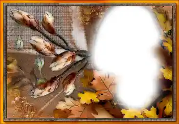 Photo effect from category Different № 205533 Photo effect from category Different № 205533