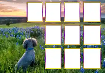 Photo effect from category Different № 205604 Photo effect from category Different № 205604