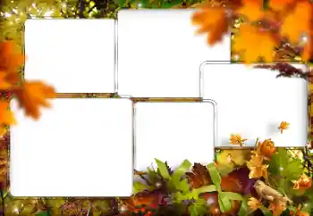 Photo effect from category Different № 205794 Photo effect from category Different № 205794