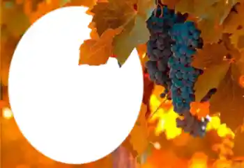 Photo effect from category Different № 205802 Photo effect from category Different № 205802