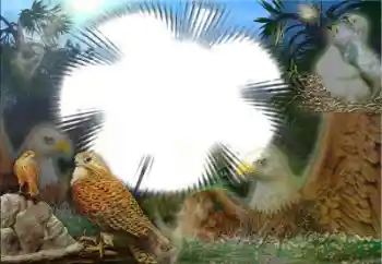 Photo effect from category Different № 22183