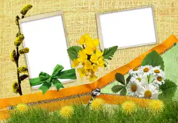 Photo effect from category Different № 24285