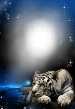 Photo effect from category Different № 24304