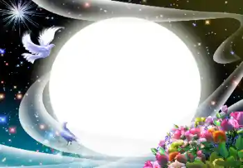 Photo effect from category Different № 24510