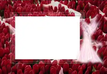 Photo effect from category Different № 2452 Photo effect from category Different № 2452