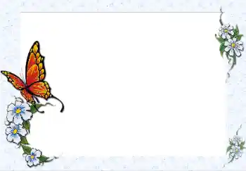 Photo effect from category Different № 25467