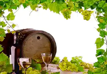 Photo effect from category Different № 26443